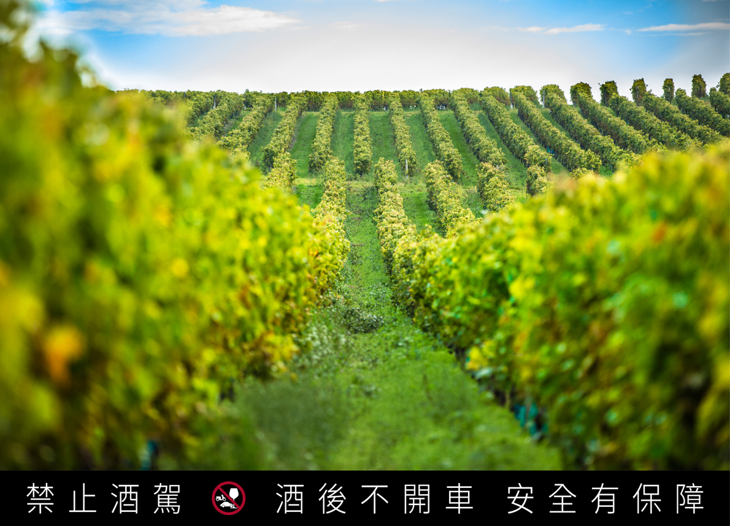 馬爹利干邑