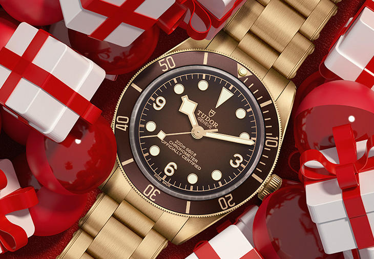 TUDOR帝舵Black Bay 58 Bronze