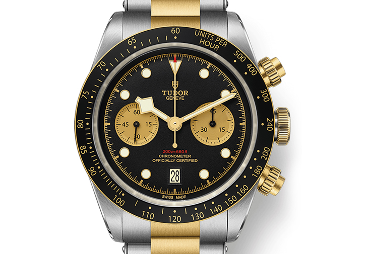 帝舵TUDOR Black Bay Chrono S & G