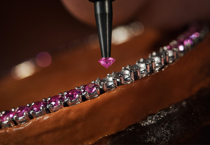 DIOR迪奧Grand Soir Automate「La Roseraie」系列高級腕錶
