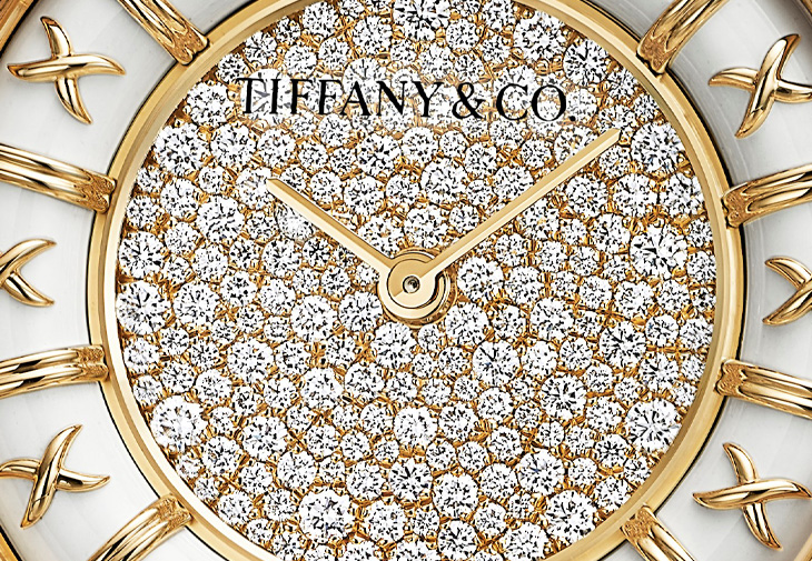 TIFFANY & CO. 蒂芙尼Enamel系列腕錶