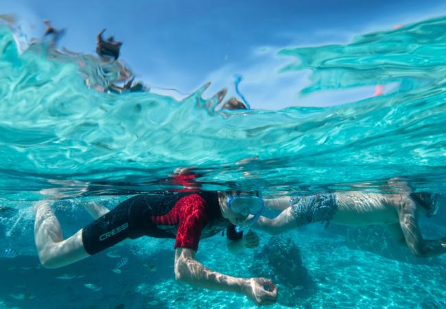 沛納海潛水體驗活動