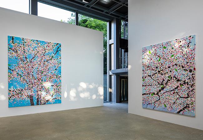 卡地亞當代藝術基金會展出最新系列大作《Cherry Blossoms 櫻花盛放》