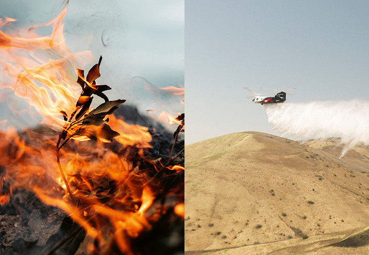 Coulson Aviation