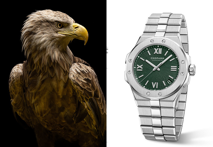蕭邦Alpine Eagle腕錶
