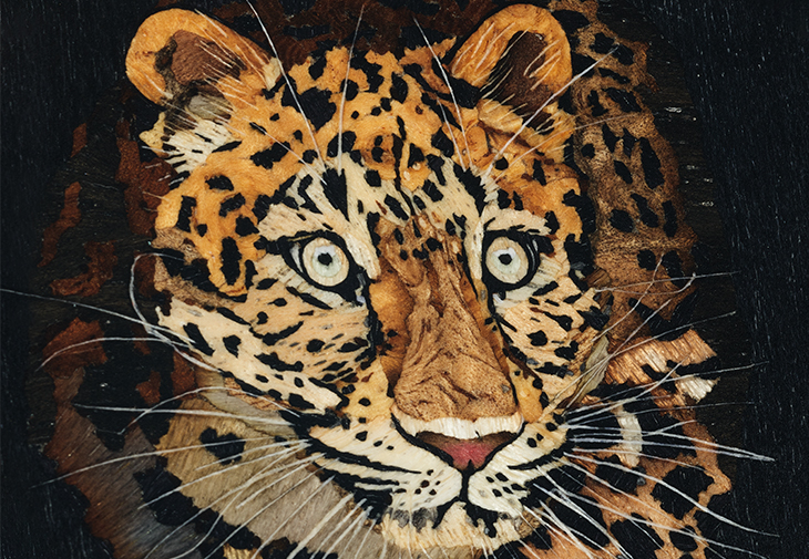 995/137J-001 Leopardo - 豹