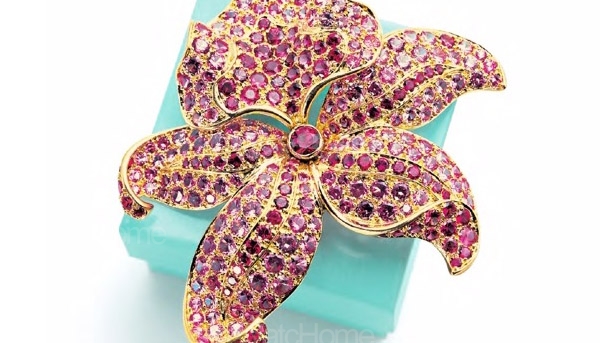 Tiffany以行動實踐對社會與環境責任的永續發展