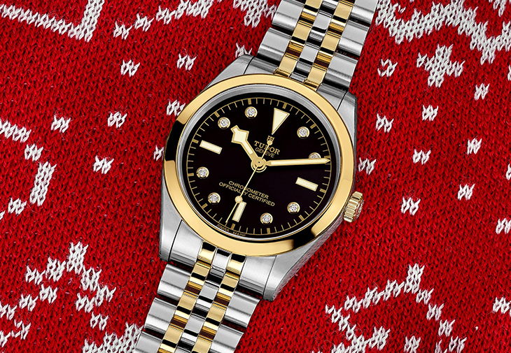 帝舵TUDOR Black Bay 36 S&G