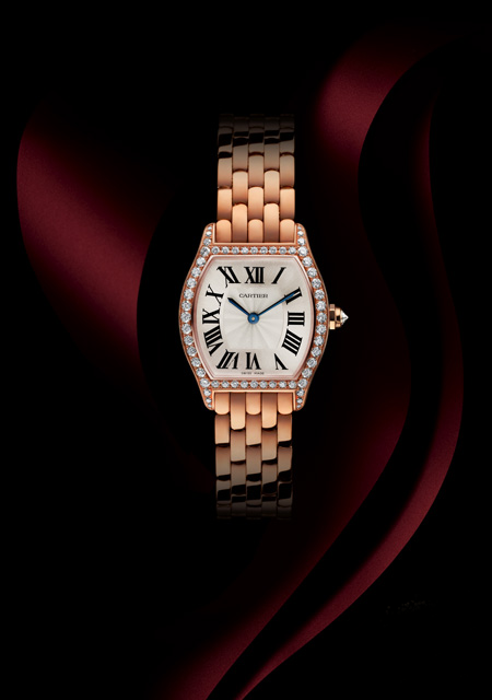 Tortue Small Model