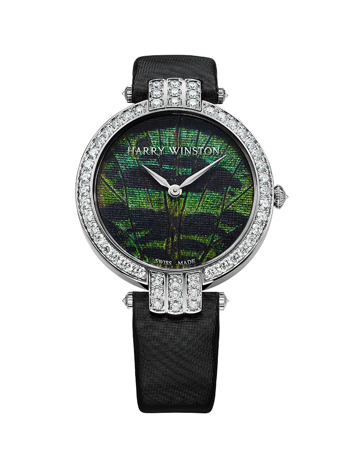 卓時Premier系列 Precious Butterfly 36mm